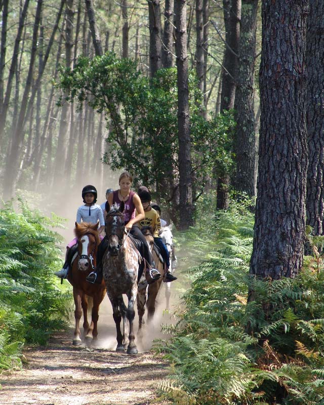 Campeurs en promenade à cheval dans une forêt dans les Landes