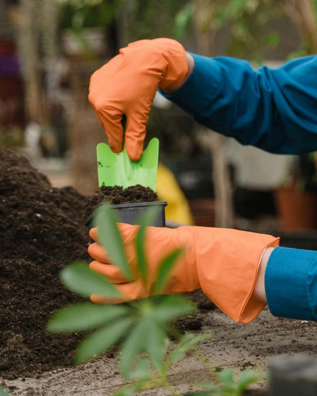 Campeur préparant du compost dans les Landes