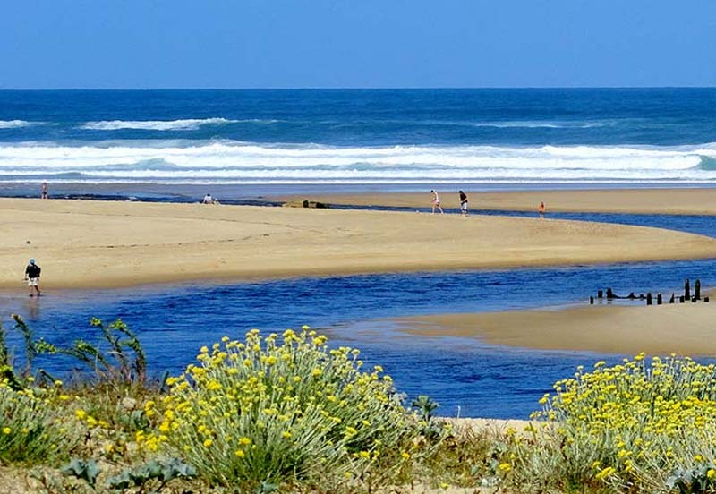 Embouchure du courant Huchet dans les Landes près du camping près de Hossegor