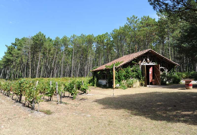 Domaine viticole dans les Landes proche du camping à Messanges