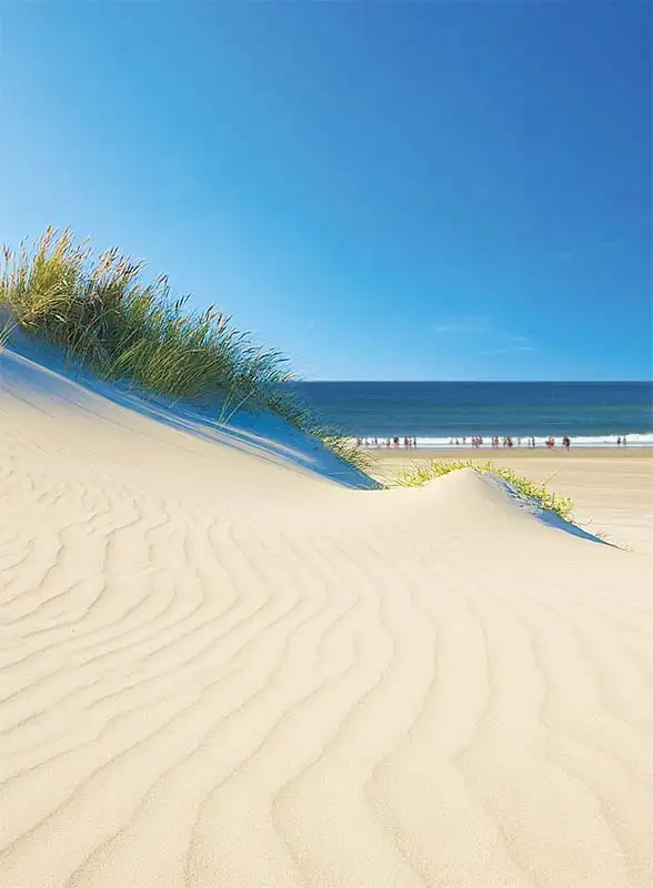 Dune de sable sur une plage des Landes