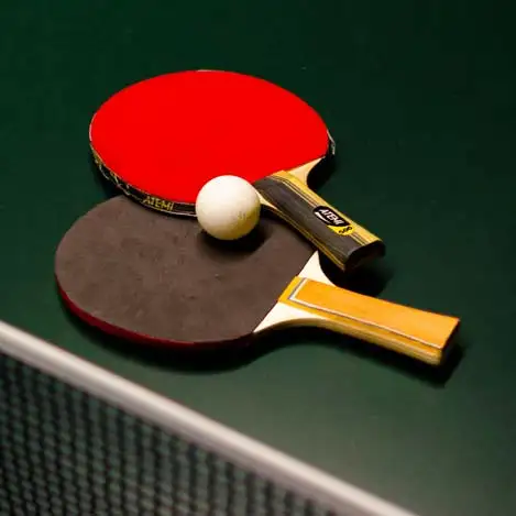 Raquettes de ping-pong sur une table au camping dans les Landes