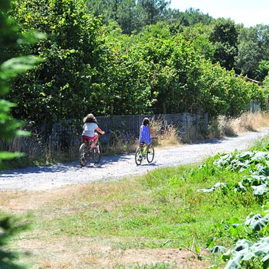 Children on bikes on a cycle path next to the campsite in Messanges