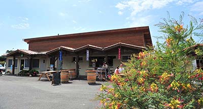 Terrace and grocery store at Le Moussaillon campsite in the Landes at Messanges