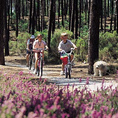 Niños en bicicleta por un carril bici en el bosque de las Landas cerca de Hossegor