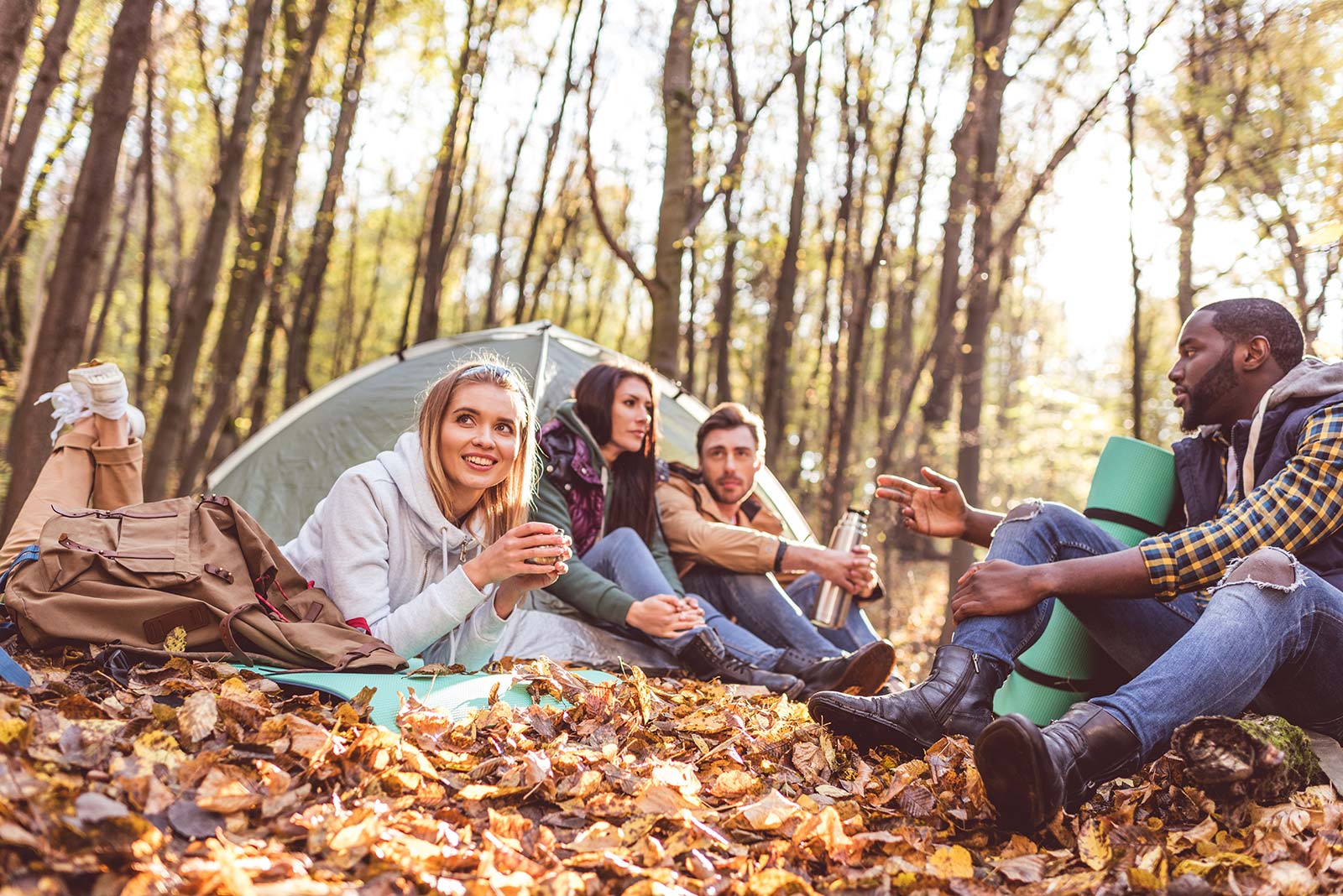 Bosques de las Landas en otoño cerca del camping de Messanges